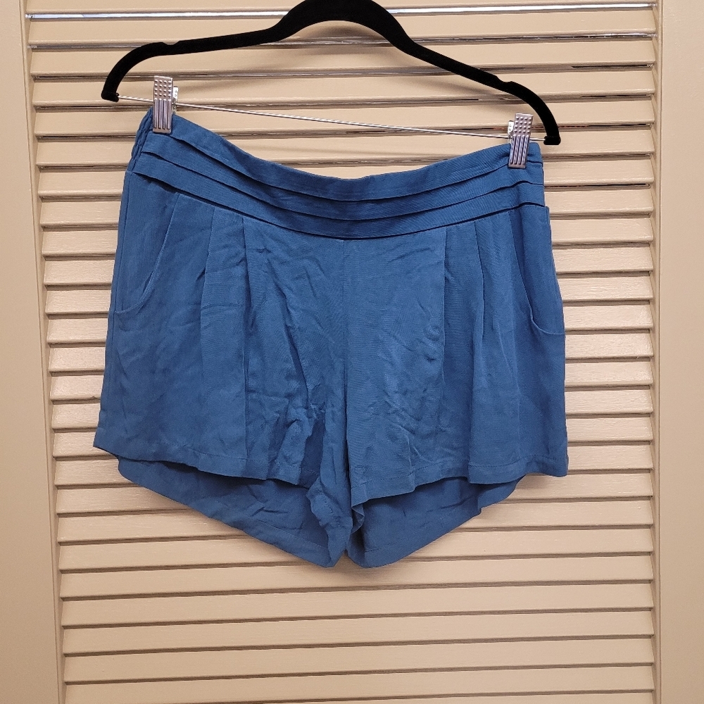 InLuv shorts blue size large - Picture 1 of 2